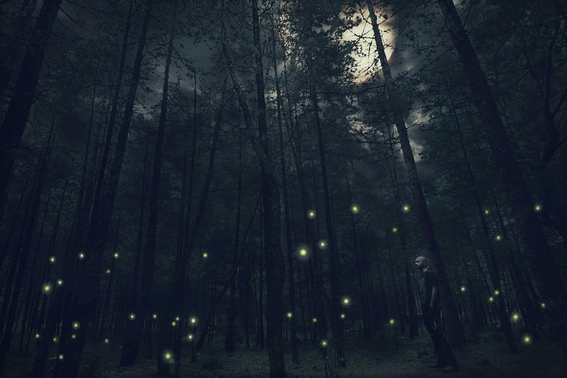 Mystical Whispers
