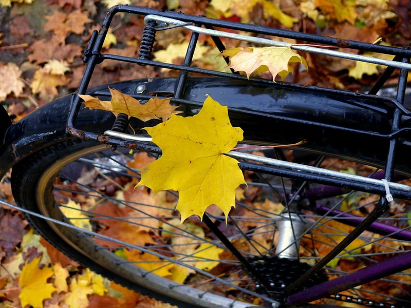 Rustling Leaves